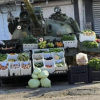 Tank as vegetable stand